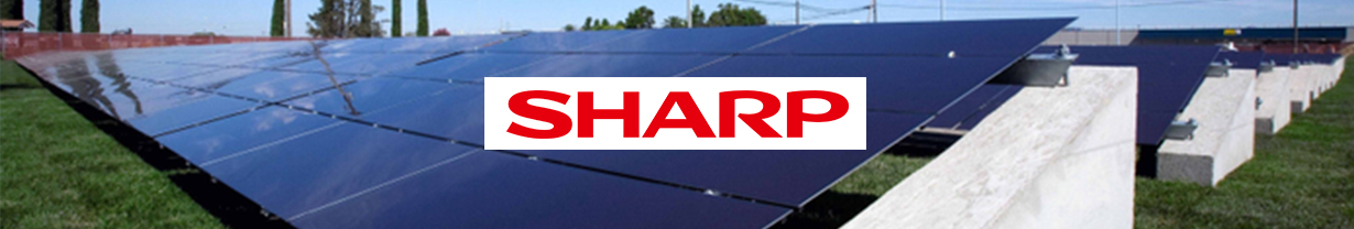 champs solaire panneaux Sharp thin film